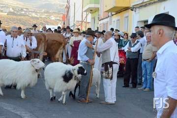 Alegre y participativa romería en El Ejido (Foto FJ Santana y TF)